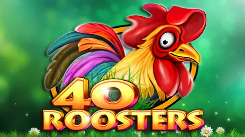 40 Roosters - Spin City - Congo